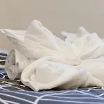 Eichholzer Apartamento *